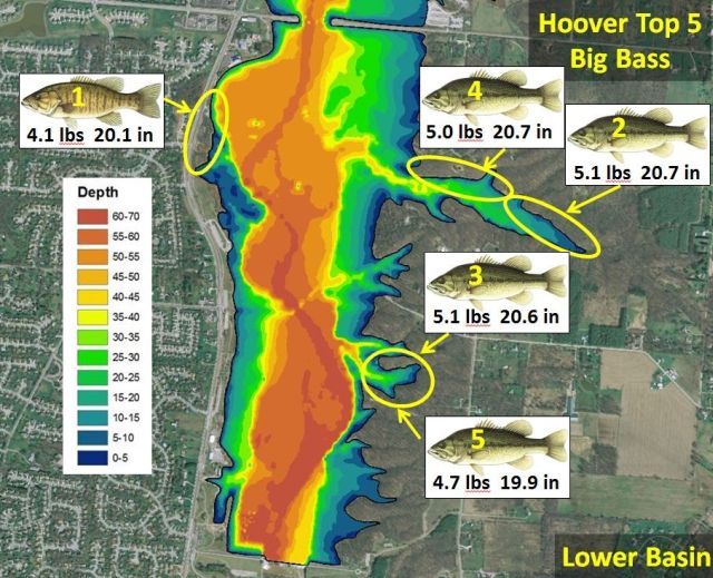 Hoover Reservoir Columbus Ohio Fishing Report All About Fishing